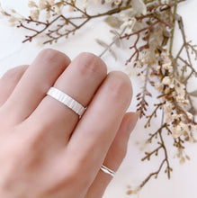 画像をギャラリービューアに読み込む, belief silver